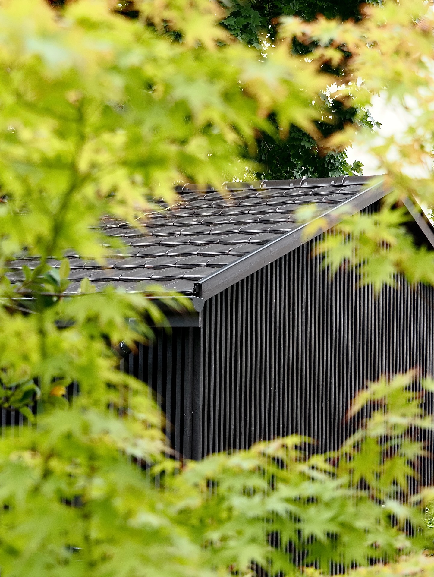 Construction d’une annexe et d’une piscine à Strasbourg - 2025